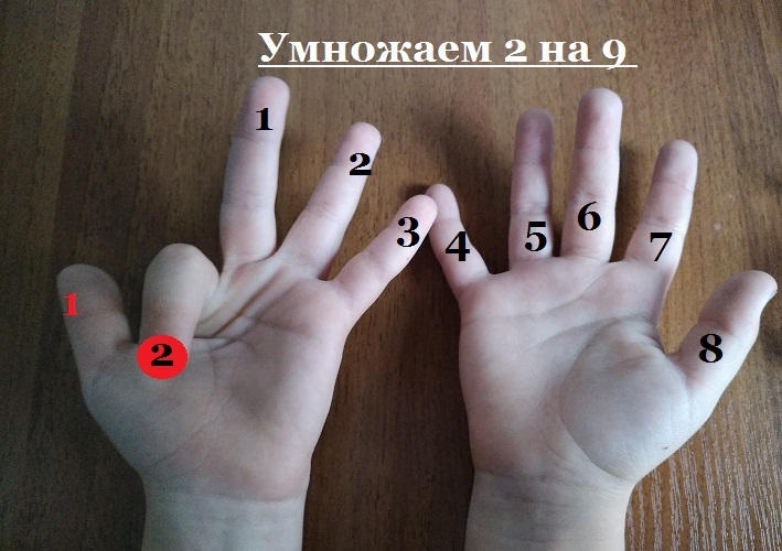 Как умножить на пальцах. Смотреть фото Как умножить на пальцах. Смотреть картинку Как умножить на пальцах. Картинка про Как умножить на пальцах. Фото Как умножить на пальцах