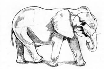 Рисуем слона в движении - шаг 3