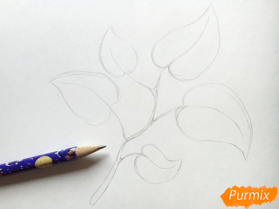 Рисуем осеннюю ветку с листьями - шаг 2