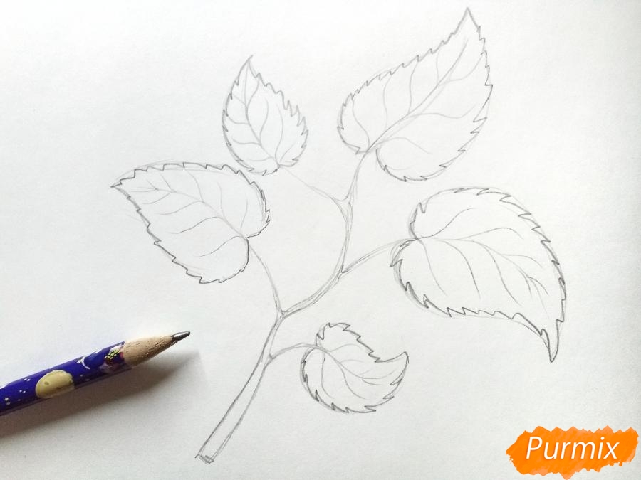 Рисуем осеннюю ветку с листьями - шаг 3
