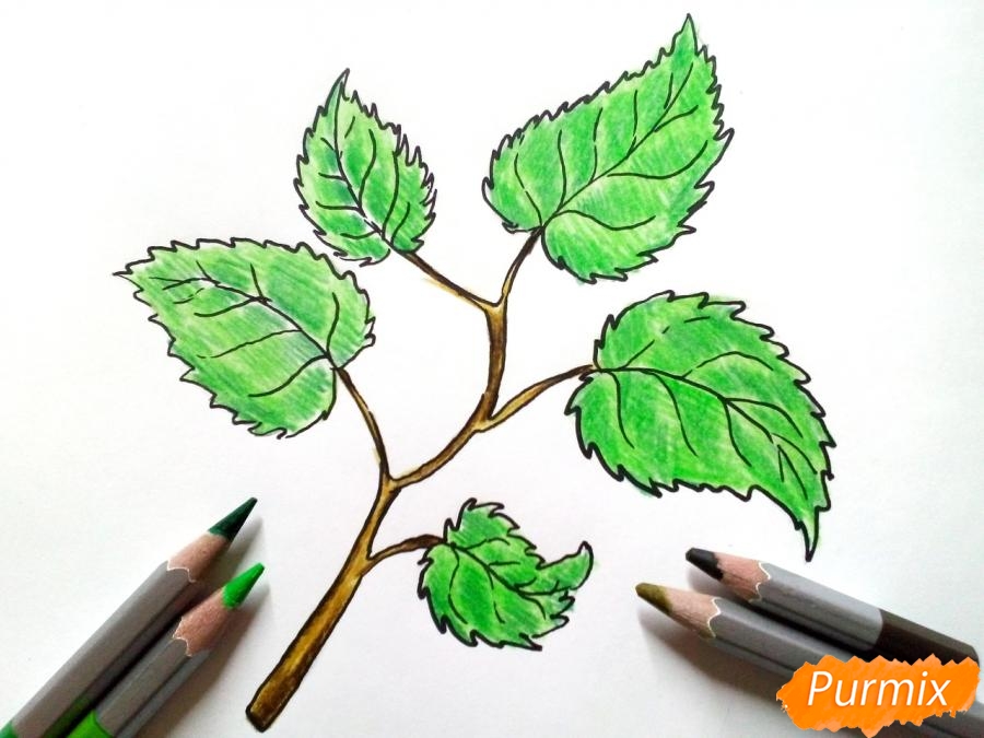 Рисуем осеннюю ветку с листьями - шаг 5