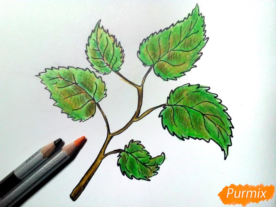 Рисуем осеннюю ветку с листьями - шаг 6