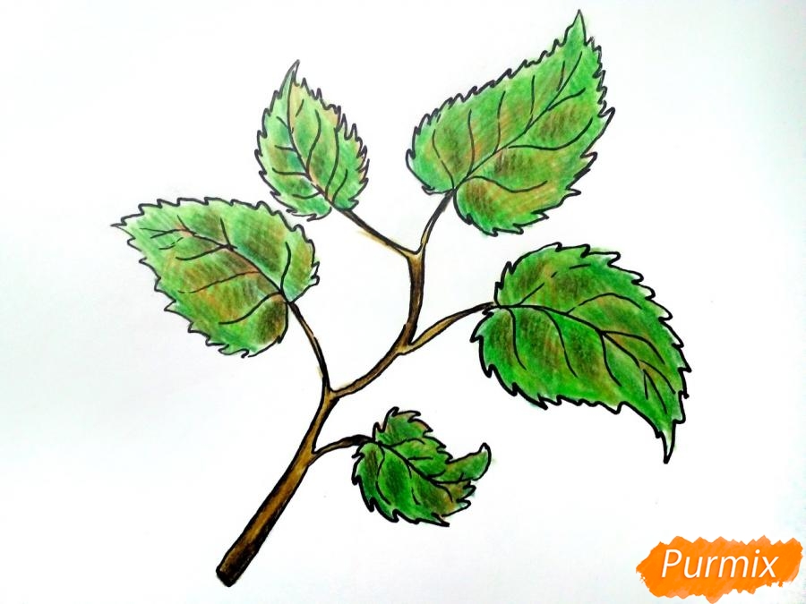 Рисуем осеннюю ветку с листьями - шаг 7