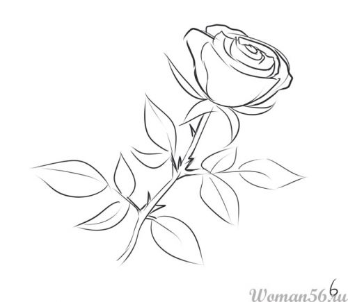 Рисуем розу карандашами и красками - шаг 6