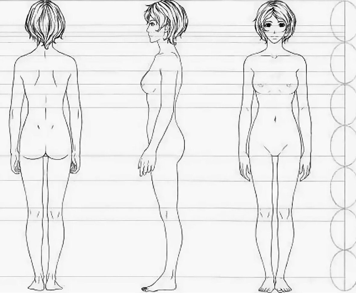 Пропорции тела женщины для рисования