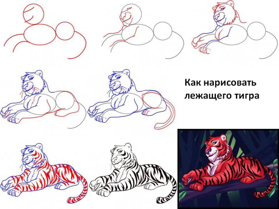 Как нарисовать мультяшного тигра