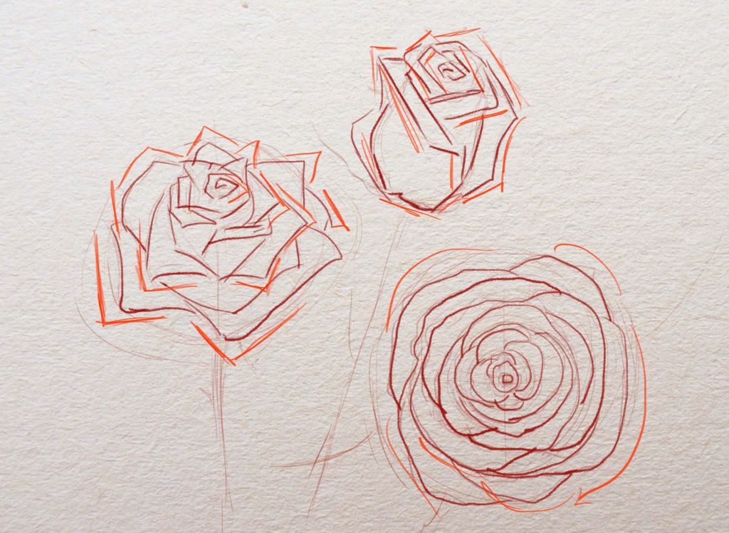 как рисовать розы, как нарисовать розу поэтапно, как рисовать розу карандашом