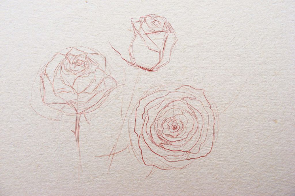 как рисовать розы, как нарисовать розу, рисовать розу поэтапно