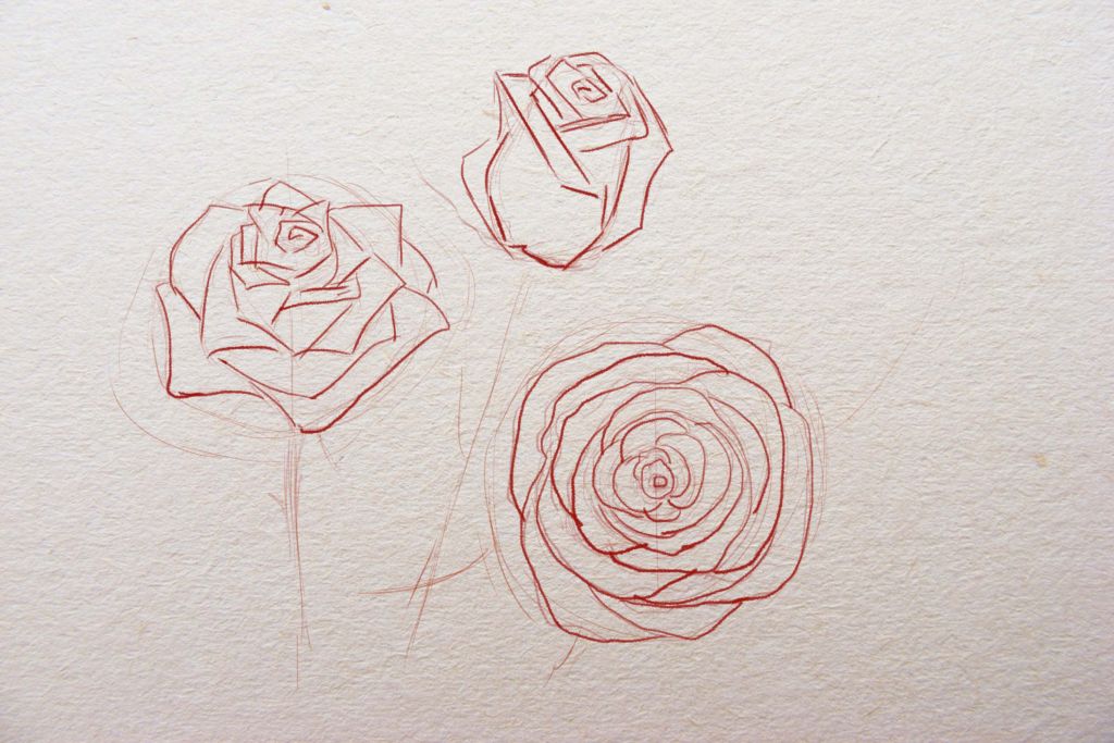 как рисовать розы, рисуем розы поэтапно, нарисовать розу карандашом