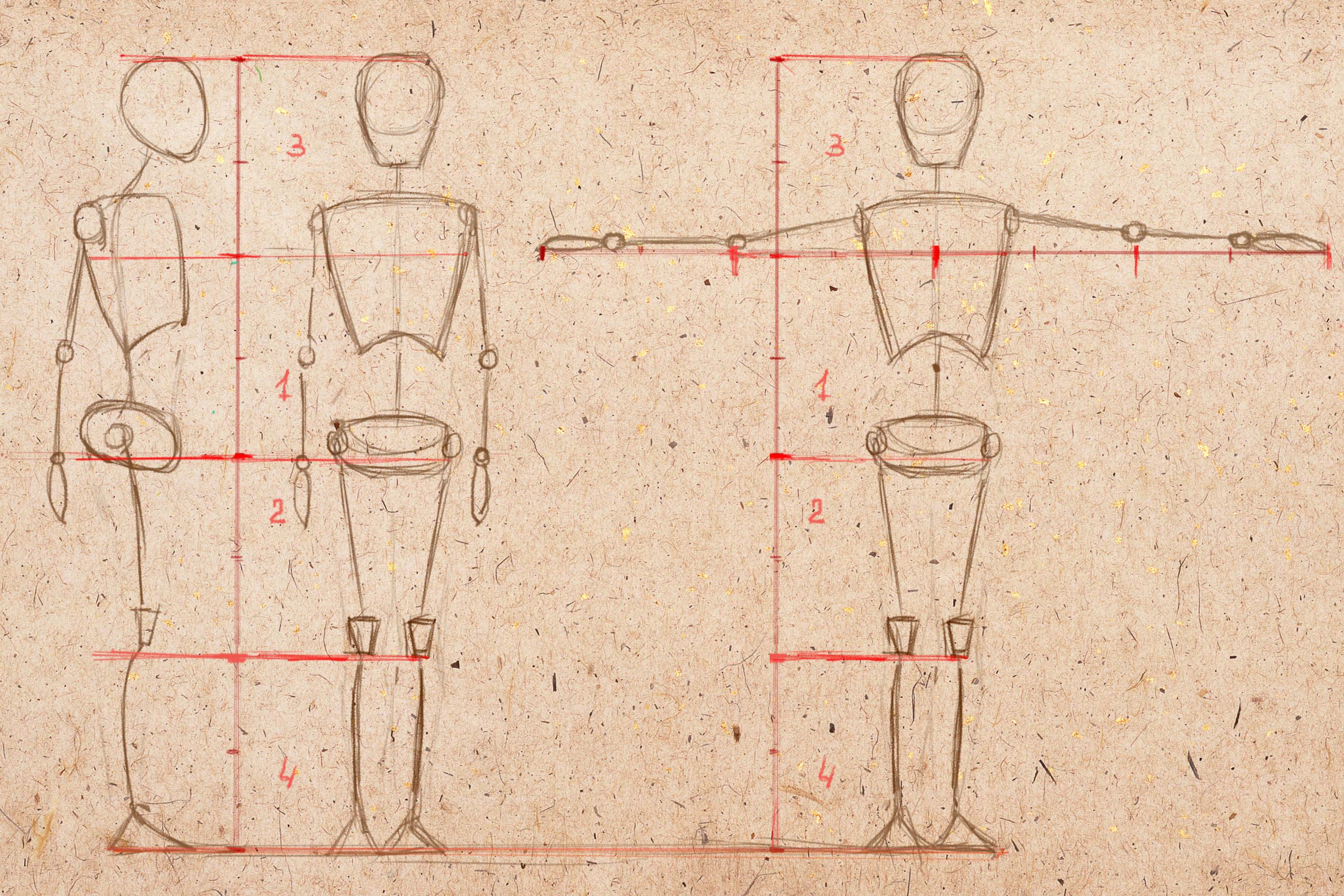 пропорции фигуры тела человека