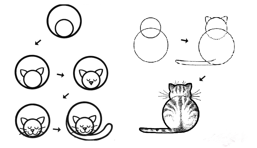 Фото Котят Поэтапно