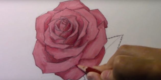 Фломастером или маркером закрасьте лепестки розы