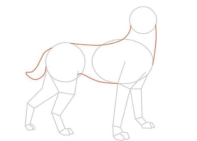 Как нарисовать мультяшную взрослую собаку - Нарисуйте контур тела собаки.