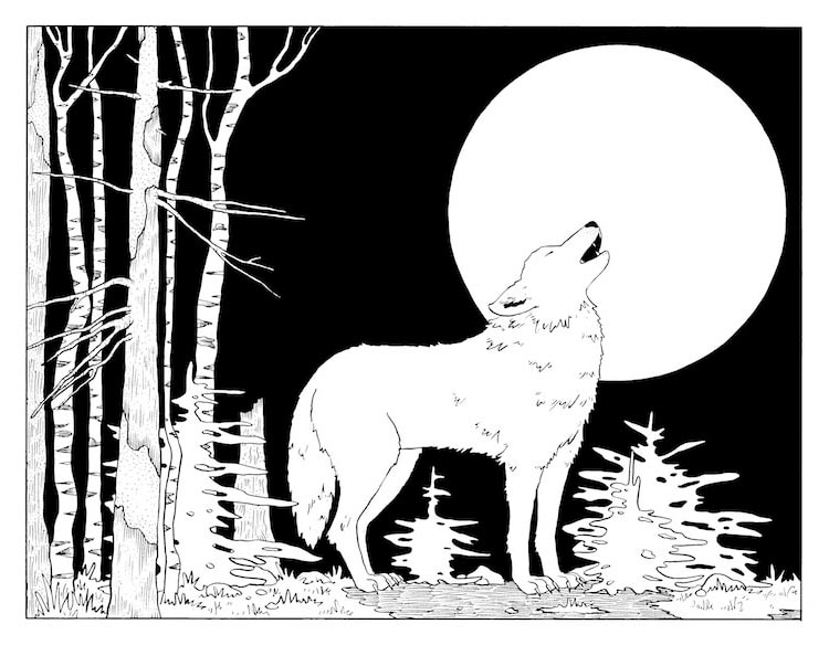 Шаг 7: Раскрасьте рисунок с волком