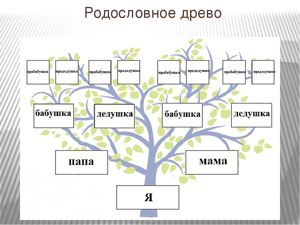 Семейное древо семьи: 4 вида, как составить родовое дерево красиво и правильно