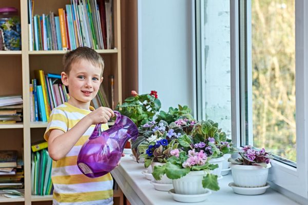 Мальчик поливает цветы