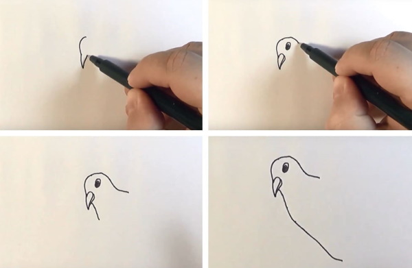 Голубь рисунок для детей карандашом поэтапно