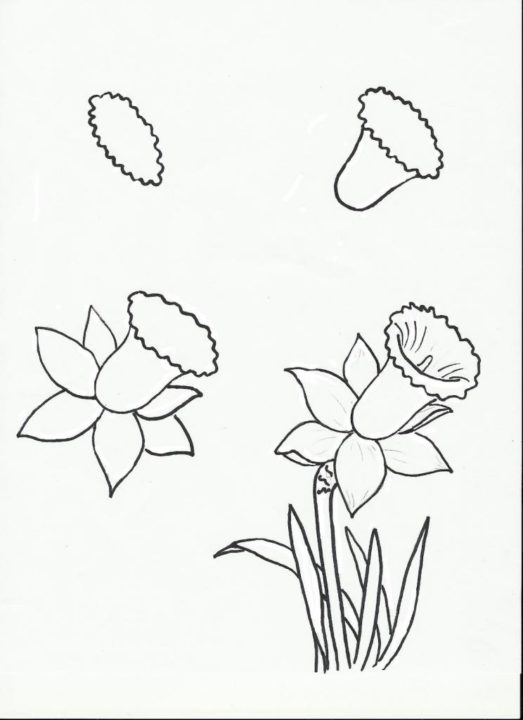 Как нарисовать цветы карандашом и не только. 80 рисунков для детей