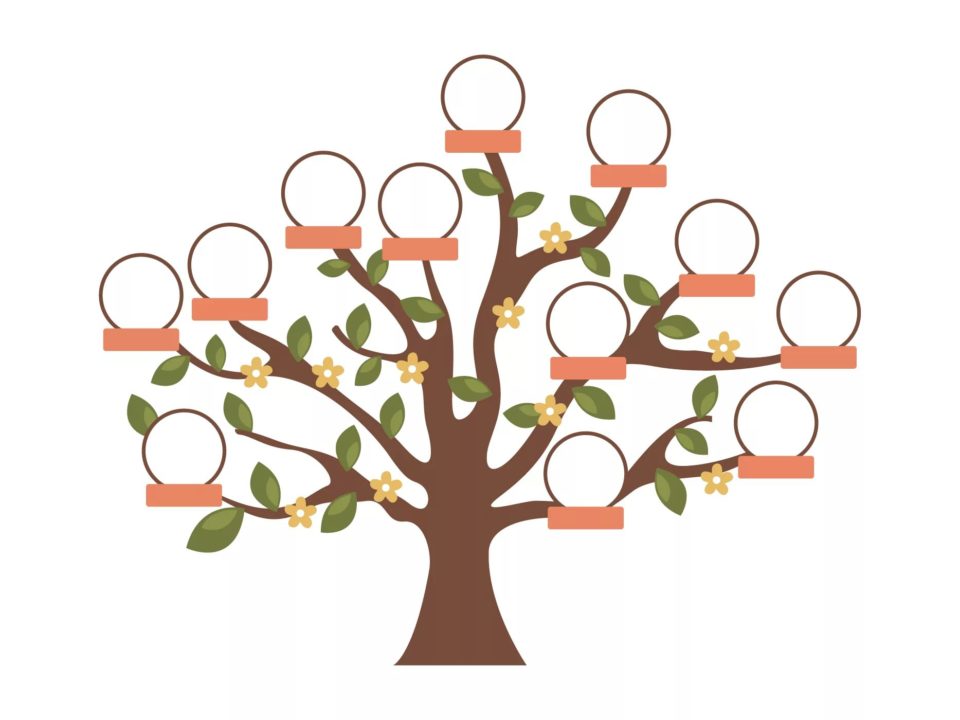 30 шаблонов генеалогического дерева для заполнения