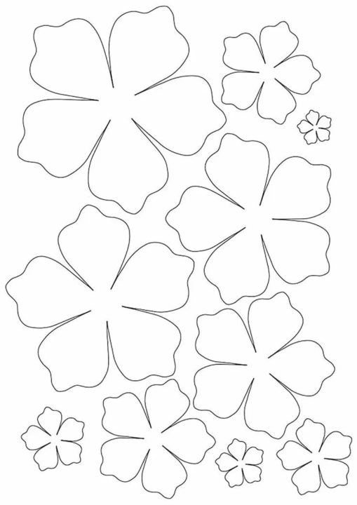 105 шаблонов цветов для распечатки и вырезания