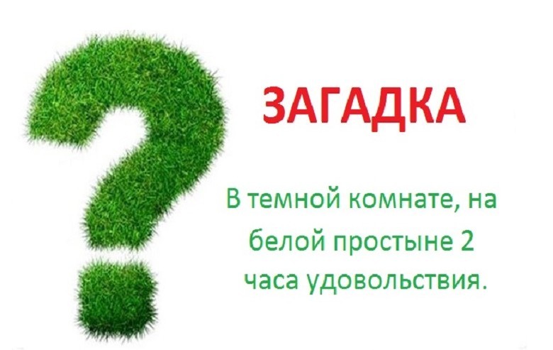 Загадки с подвохом с ответами для взрослых пошлые и смешные