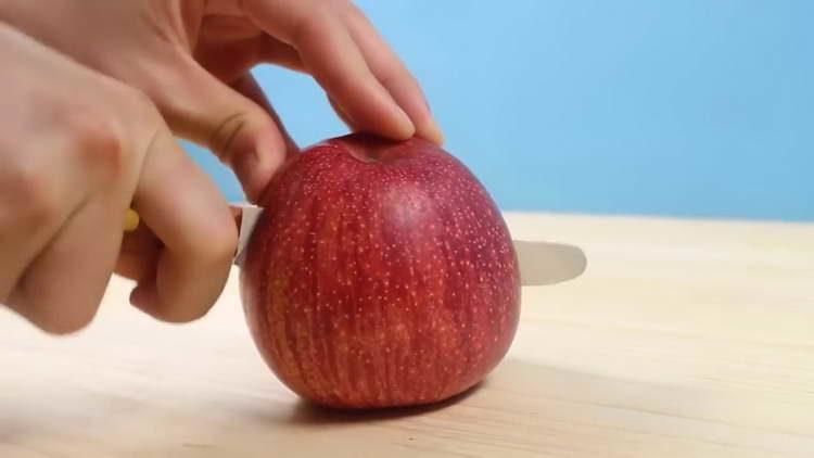 Поделка гусеница из яблок - легкая инструкция по созданию поделки в домашних условиях (мастер-класс для детей + фото)