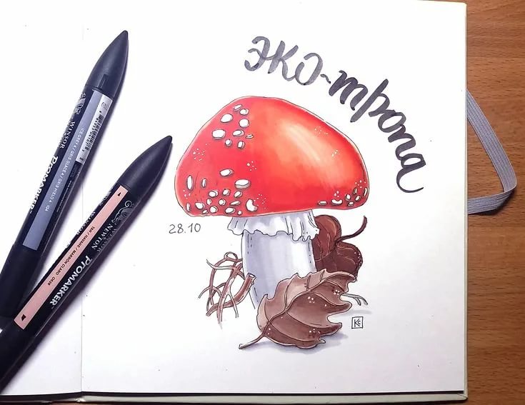 250 рисунков маркерами и фломастерами