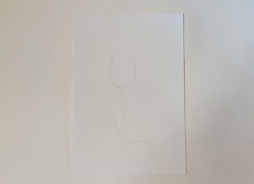 Как нарисовать полураскрытую розу карандашом - этап 1