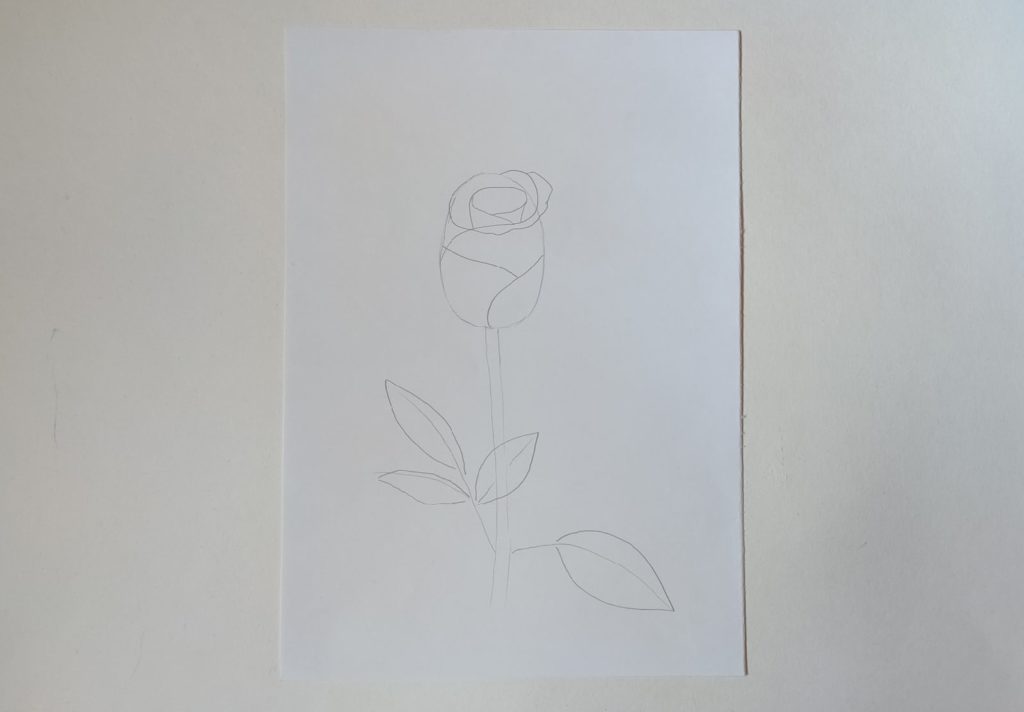 Как нарисовать полураскрытую розу карандашом - этап 2