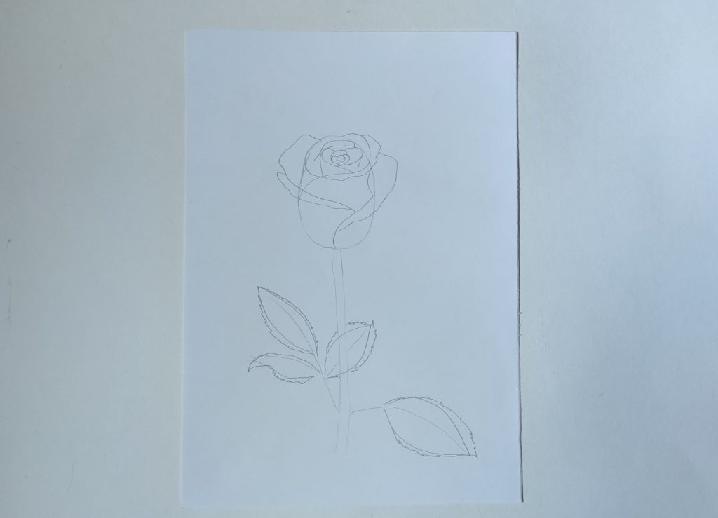 Как нарисовать полураскрытую розу карандашом - этап 3