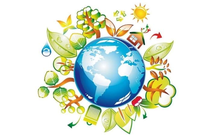 что должен знать первоклассник идя в школу 