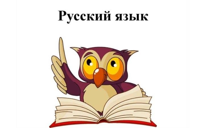 вопросы для 1 класса 