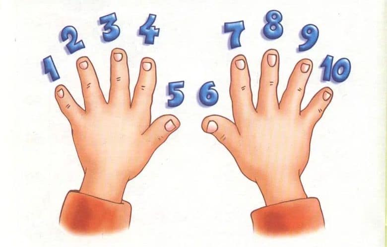 Таблица умножения на пальцах: легко и быстро